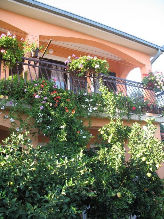 Apartments Ivanka Trogir Exterior photo