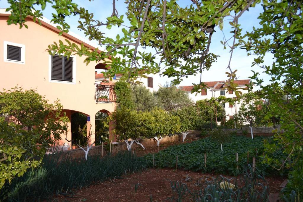 Apartments Ivanka Trogir Exterior photo